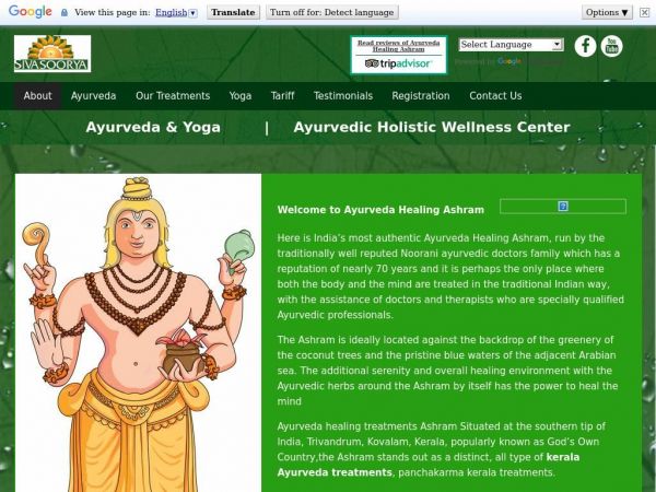 ayurvedahealingashram.com