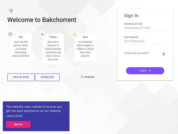 bakchorrent.com