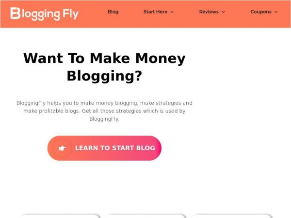 bloggingfly.com