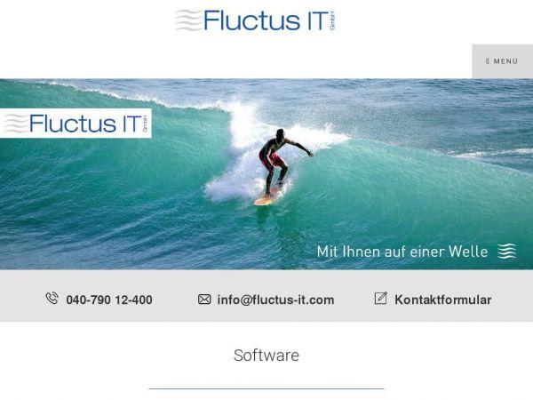 Fluctus-it.com
