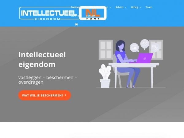 intellectueeleigendom.nl