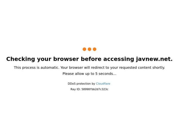 javnew.net