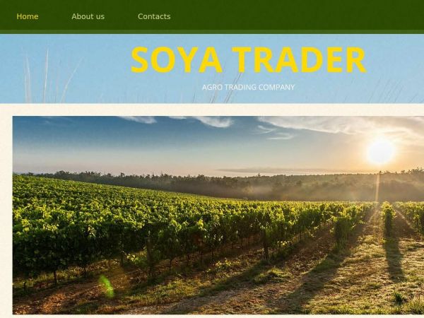 soyatrader.com